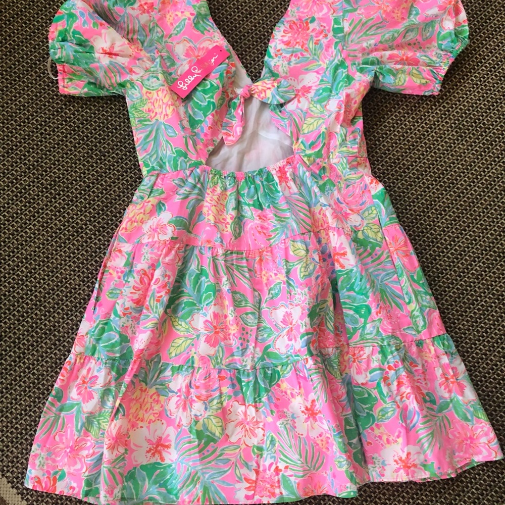 💕NEW! Lilly Pulitzer Nalani Short Sleeve Cotton Dress - Picture 7 of 11